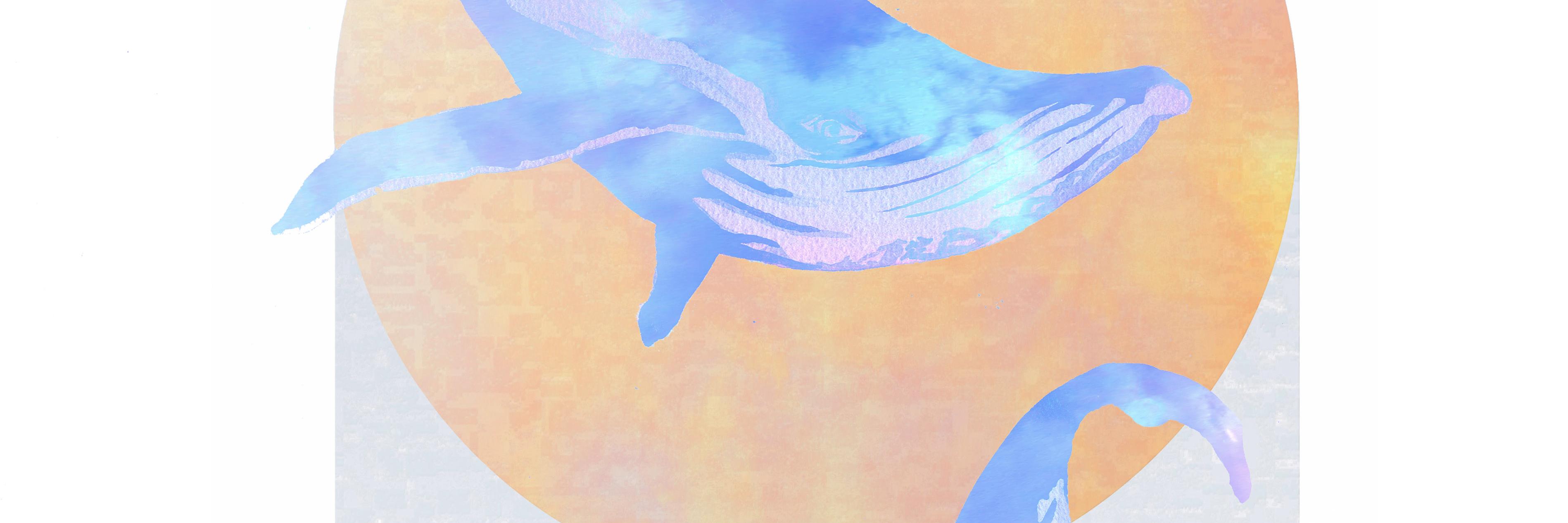 encircl's profile banner image