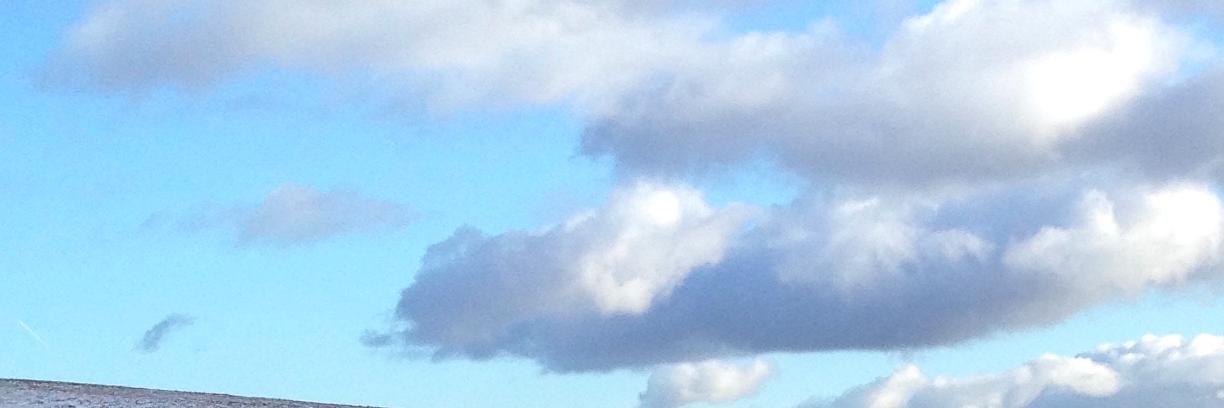 Damian Grammaticas banner