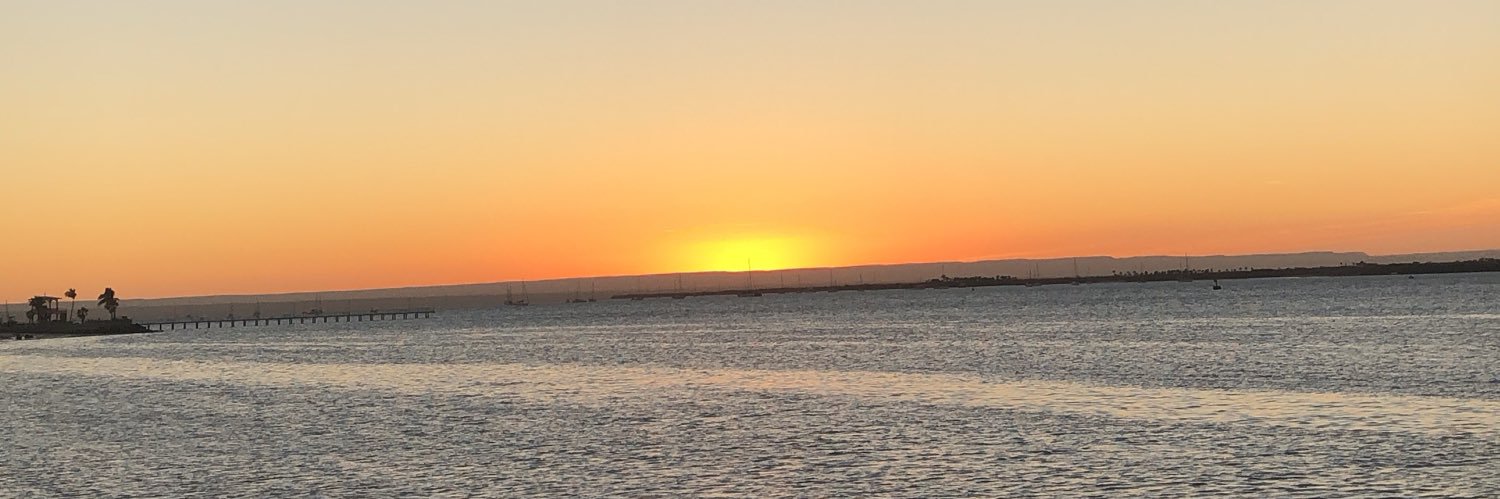 brumaalg's profile banner image