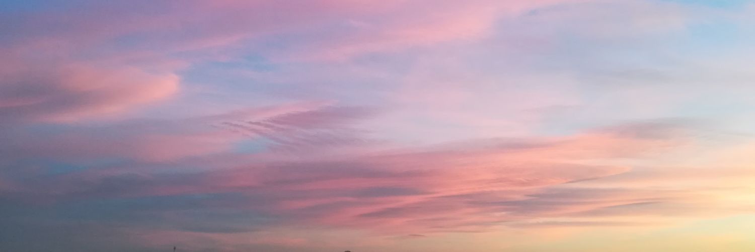 MariaMelniciuc's profile banner image