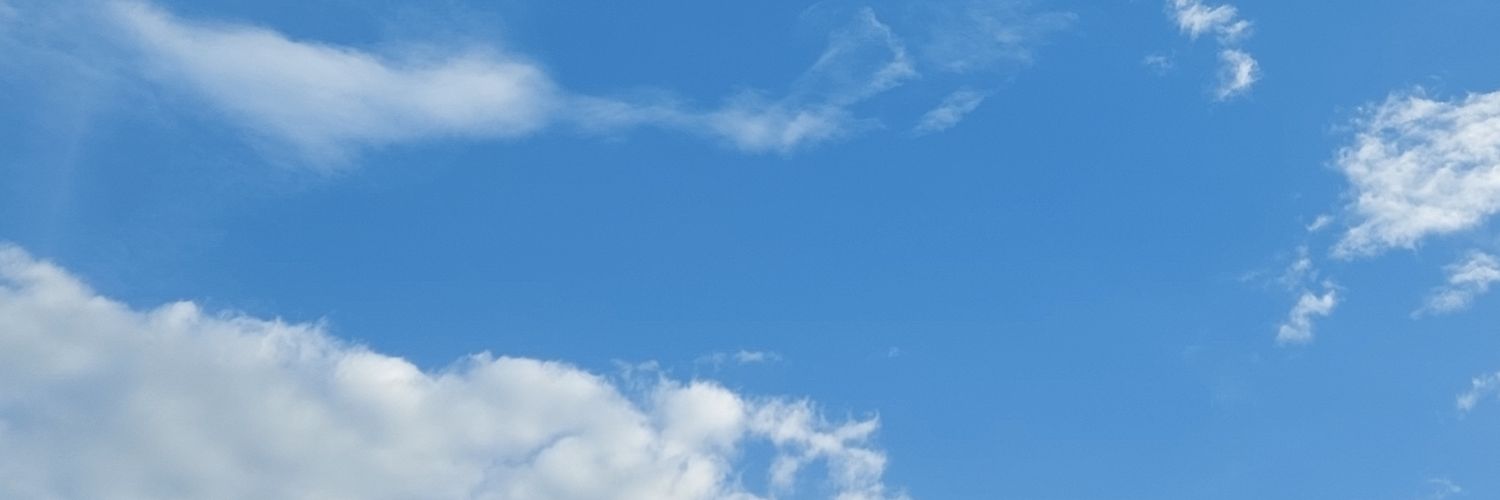 WeirdClarissa's profile banner image