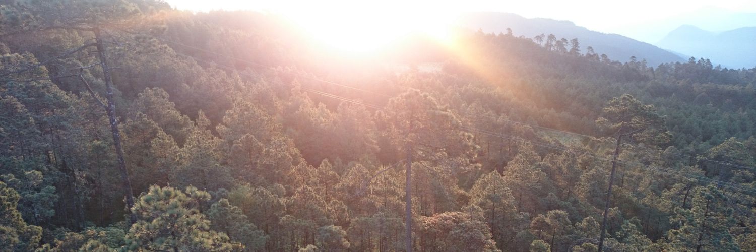 ¿Éste es mi nombre? banner