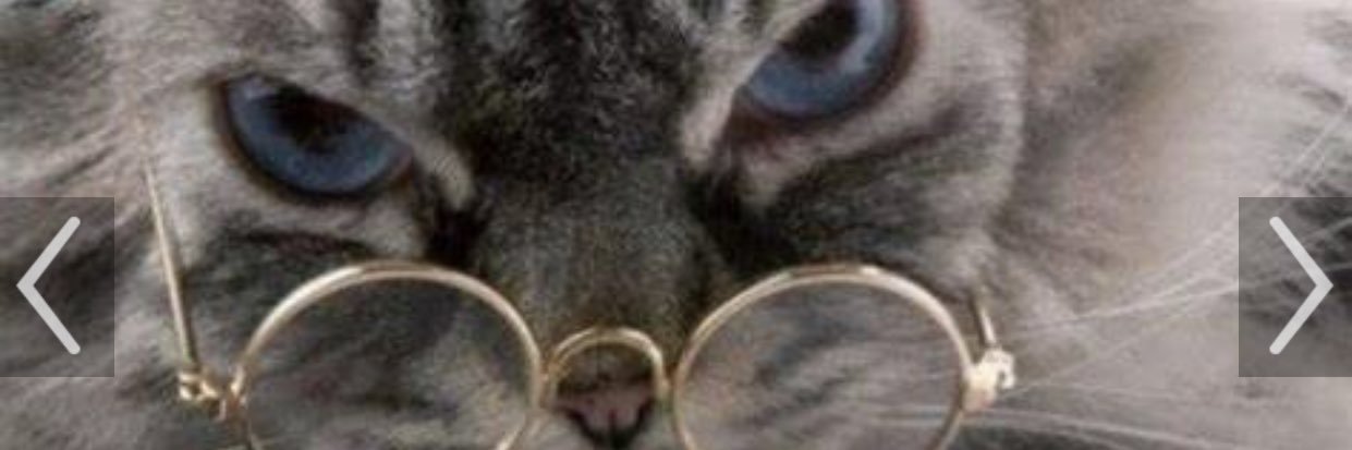 ElsaZEC's profile banner image