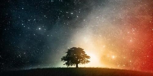 eoha81's profile banner image