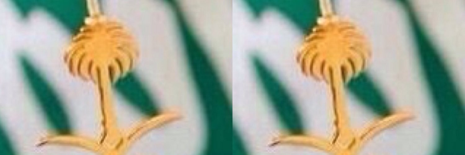 sayaf2016's profile banner image