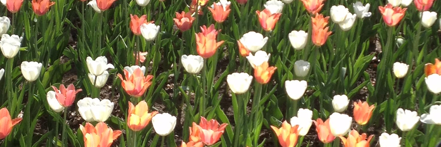 GillzKent's profile banner image
