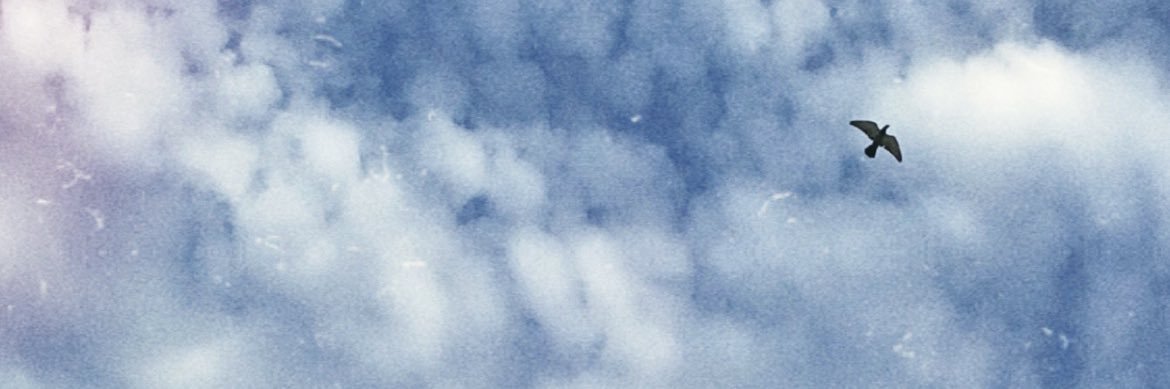h_sh161's profile banner image