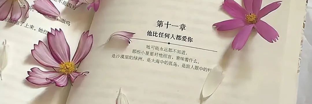 xiaodoudoua's profile banner image