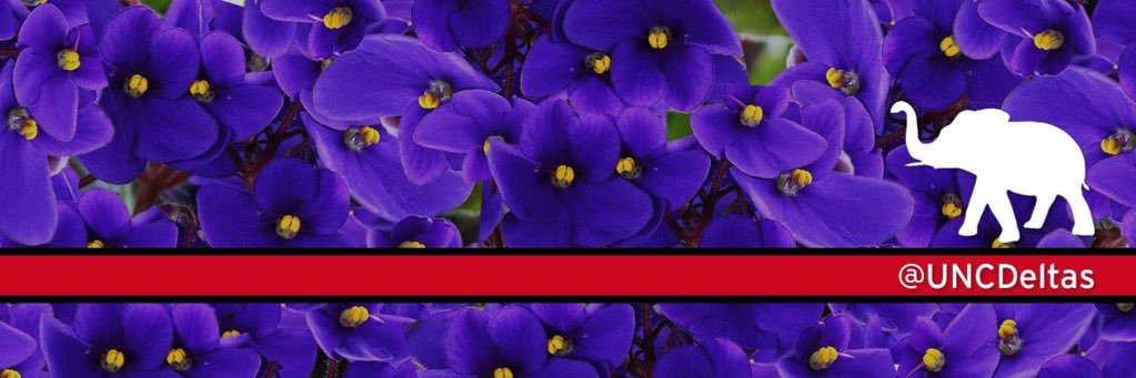 UNC Deltas banner