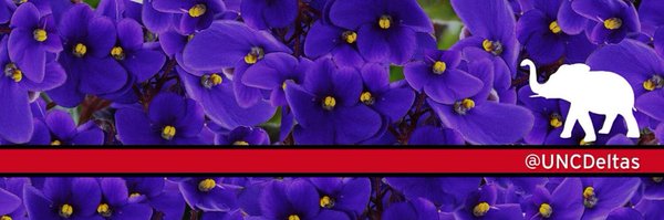 UNCDeltas Profile Banner