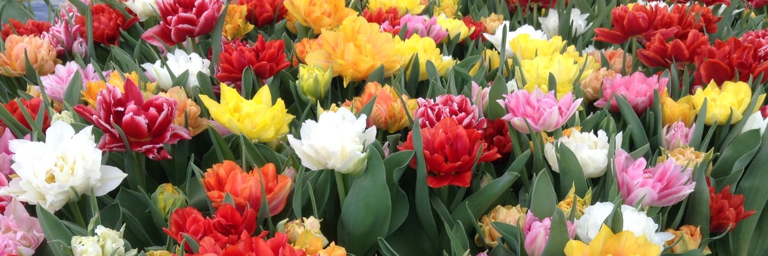 Ria Granneman banner