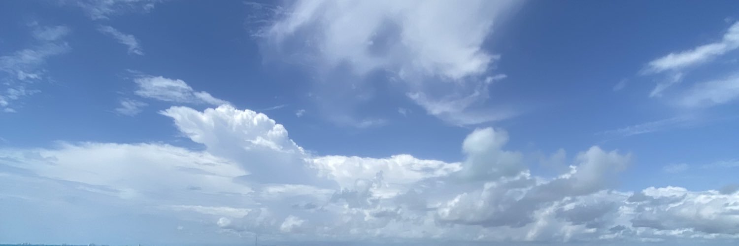 annramoss's profile banner image