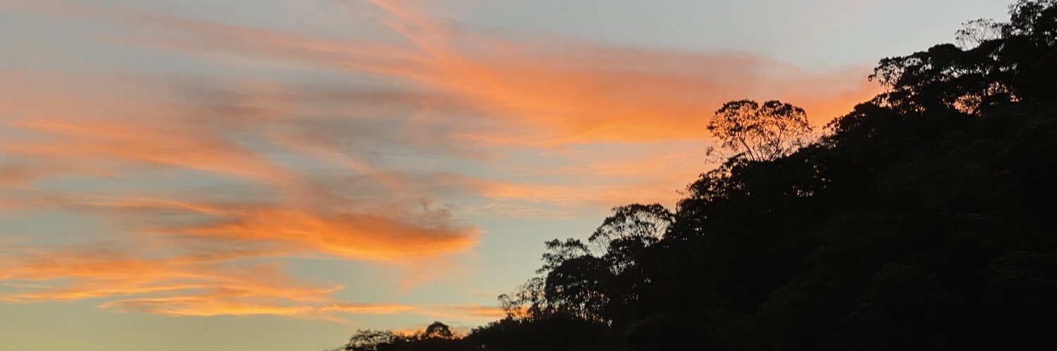giovanabonin's profile banner image