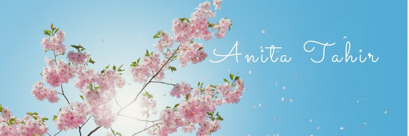 bieberfever banner
