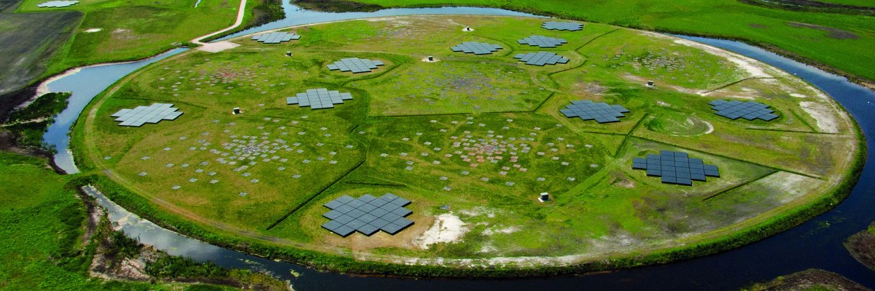 Low Frequency Array banner