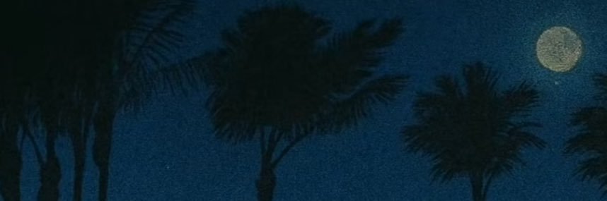 _simrenk's profile banner image
