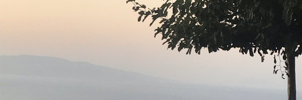whignewtons Profile Banner