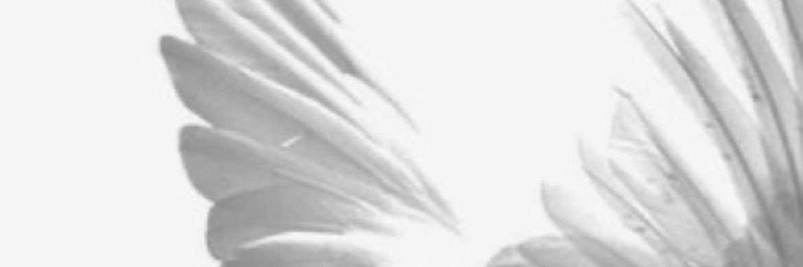 mesho1194's profile banner image