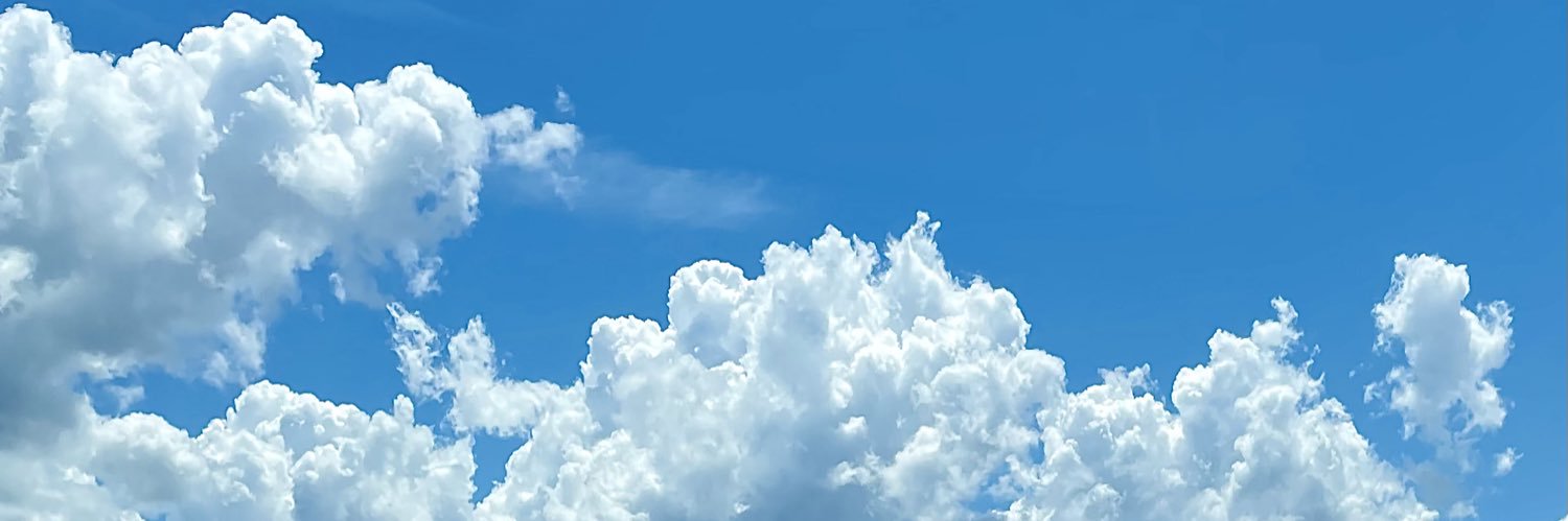 onigisu's profile banner image