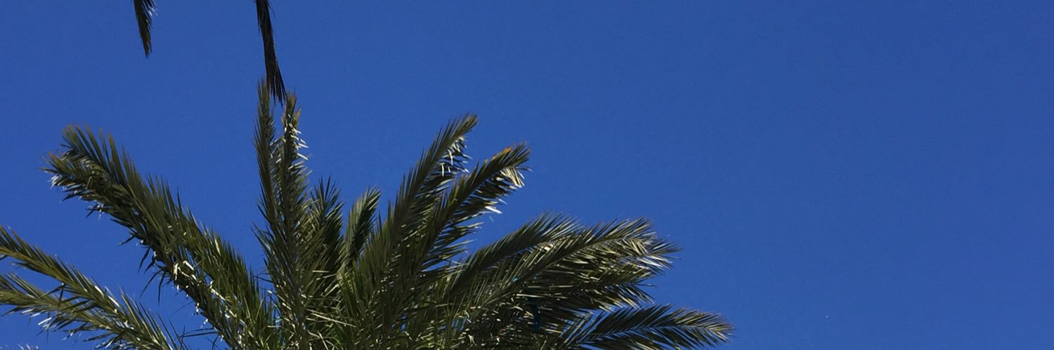 nels3's profile banner image