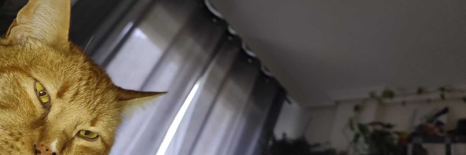 MellamanMaa's profile banner image