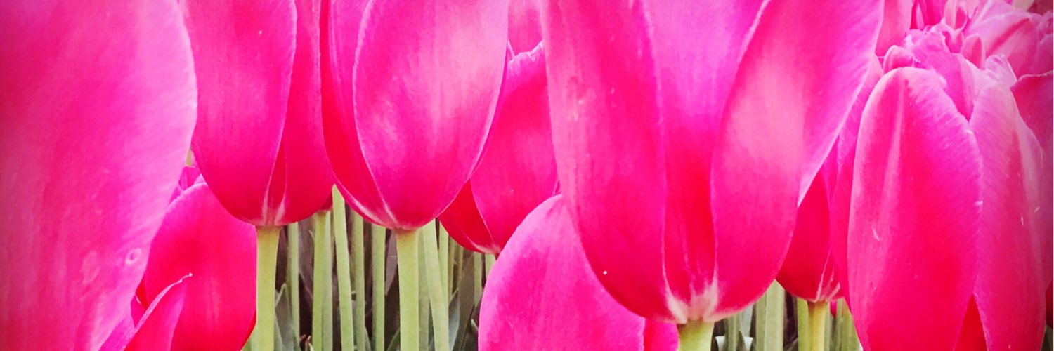 kbra__ask's profile banner image