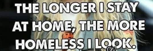 🐝bang! 🟧 banner