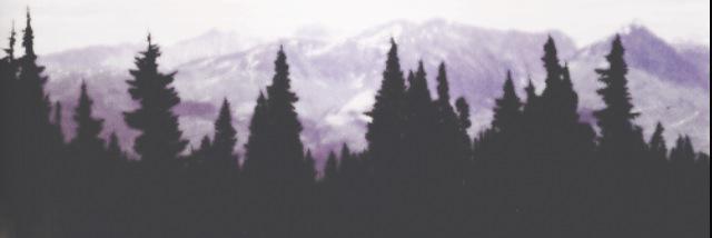 1chels6's profile banner image