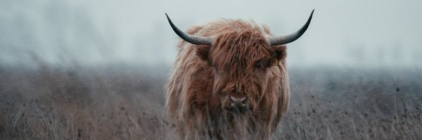 RNA_Biotech Profile Banner