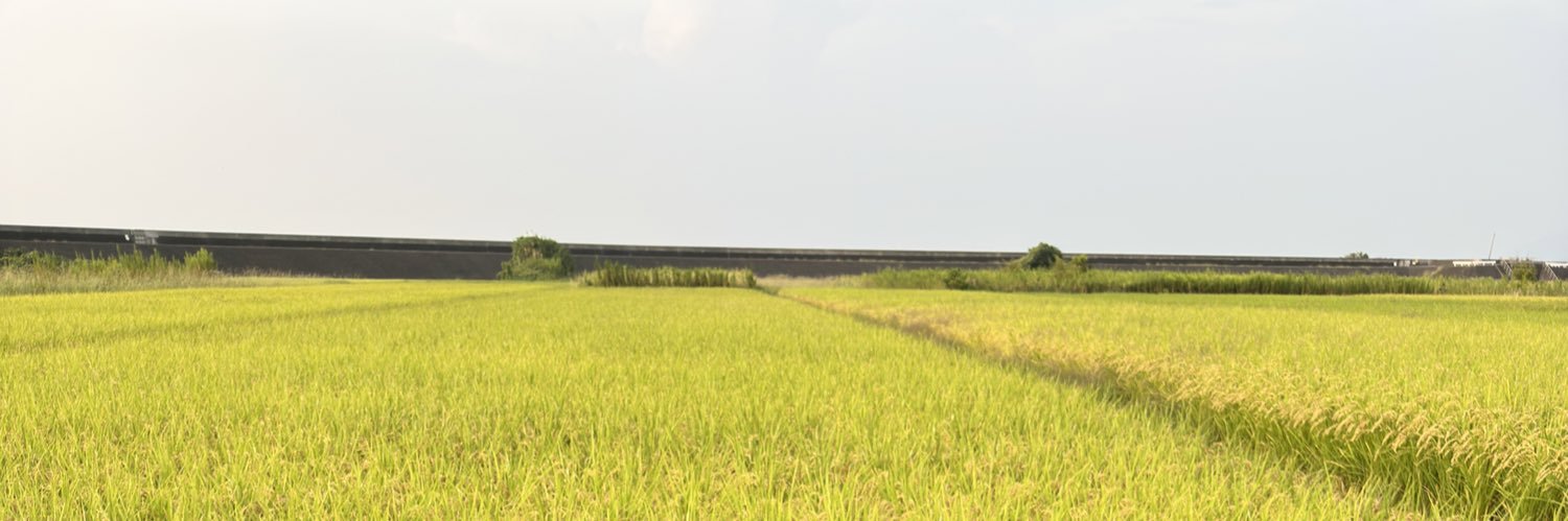 meeesanak's profile banner image