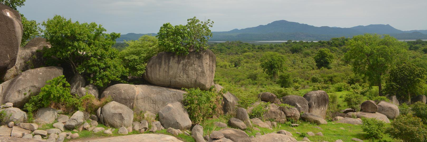 DorahNtunga's profile banner image