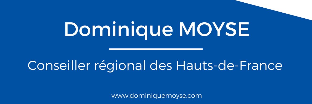 Dominique Moyse banner