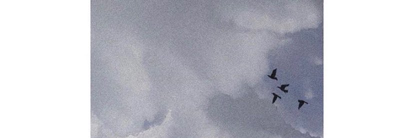 amwaj_j's profile banner image