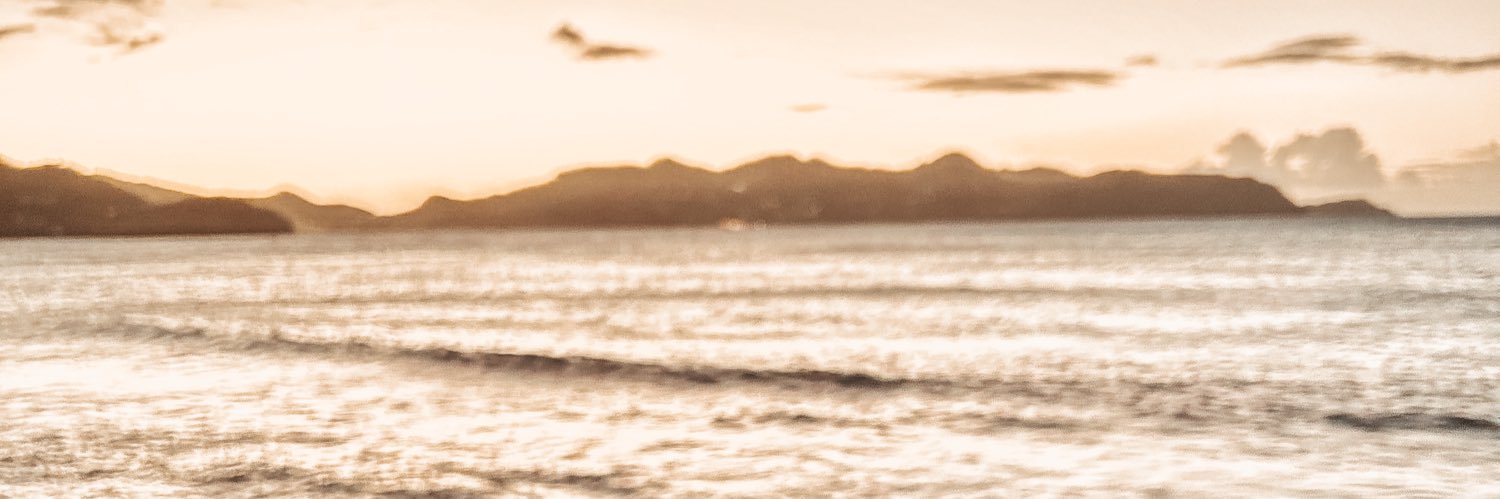 Tara Nolan banner
