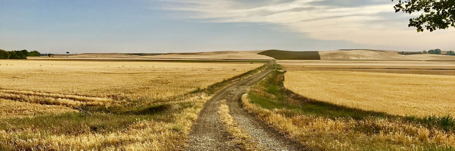 TomasArteaga77's profile banner image