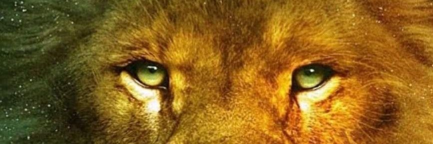 mowia1986's profile banner image