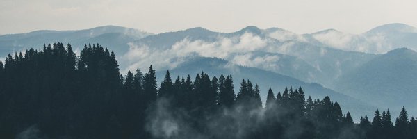 MilliganVick Profile Banner