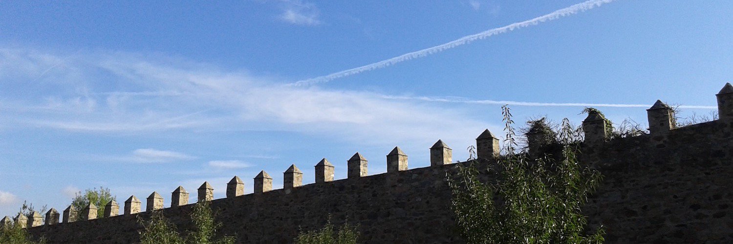 Joan Andreu Parra banner