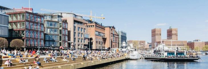 Ines Coppoolse banner