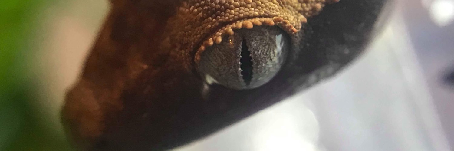 Phoebe_Martin_'s profile banner image