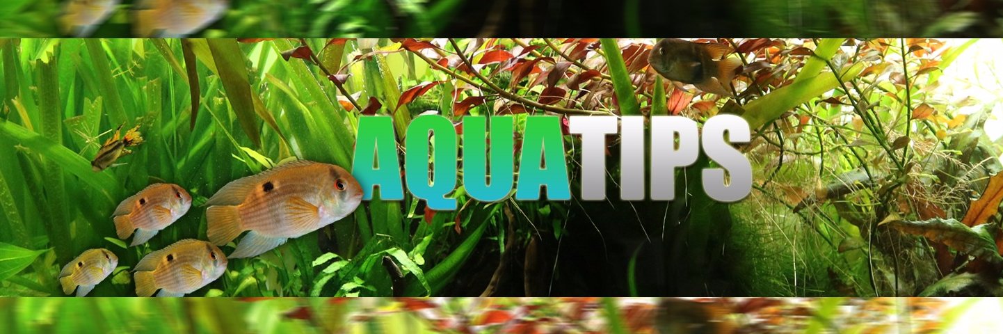 AlexSanCor92's profile banner image