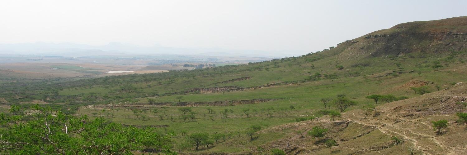 CSFD Désertification banner