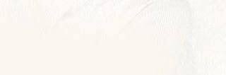 sumatriptan_50's profile banner image