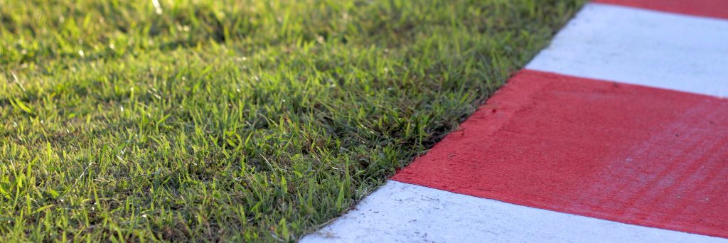 Michael Lamonato banner