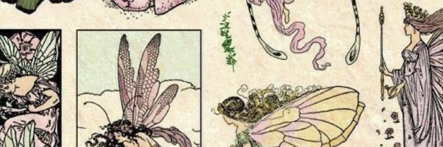 Amelia banner
