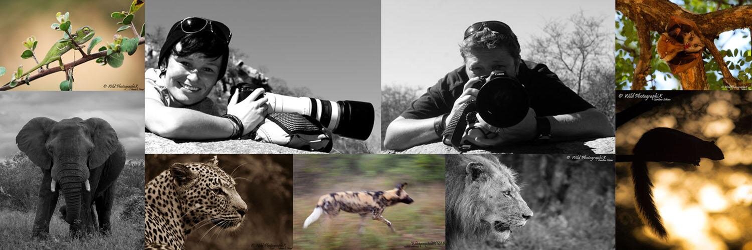 WPhotographiX's profile banner image