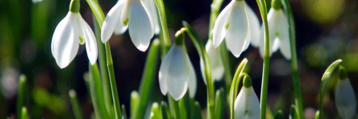 ChrisLewisTodd's profile banner image