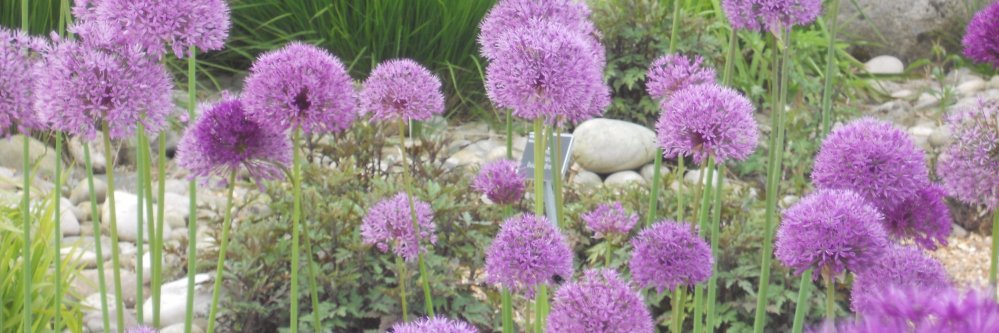 BevTighe's profile banner image