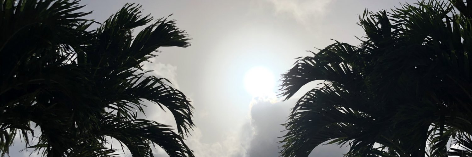 AjaAdanna's profile banner image