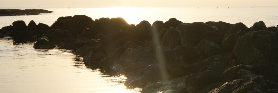pierpap66's profile banner image